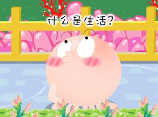 NOMO-ʲô  