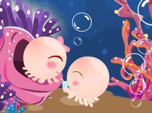 NOMO-�������-������ˮ