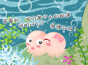 NOMO-�������-�����ҵ�һ��