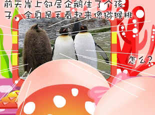 NOMO-�������-�J����