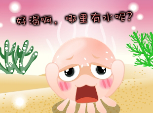 NOMO-������ˮ