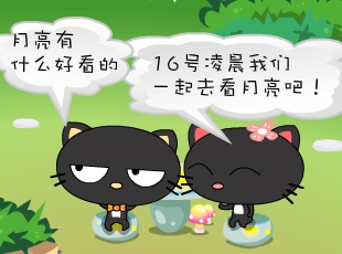 ����؈-��ʳ