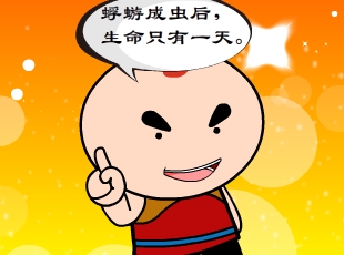 -Ҹĳ  