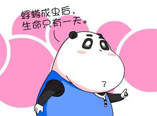 -Ҹĳ  