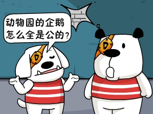 ձʺ-ȫǹ  