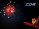 COSֽ