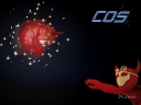 COS-698