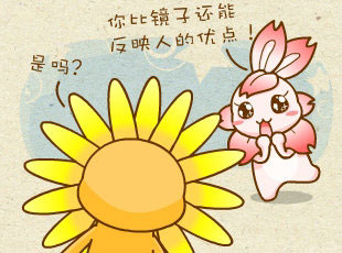 ԰-ׯӡ  