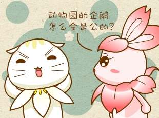 ԰-ȫǹ  