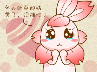 ԰-̵ķ  