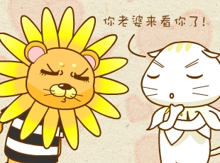 ��������԰-��������  