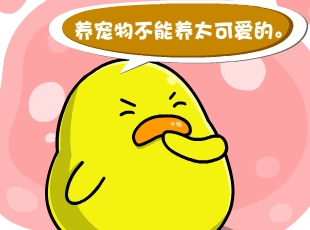 С-  