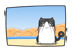 Ƭ-  