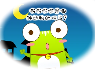 Ƭ-ӵĽ  