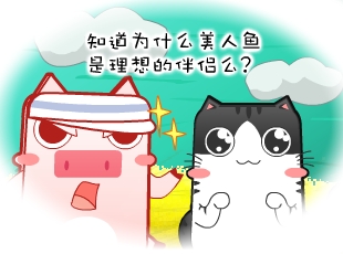 卡片蛙-理想伴侣