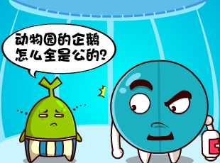 Ҷ-ȫǹ  