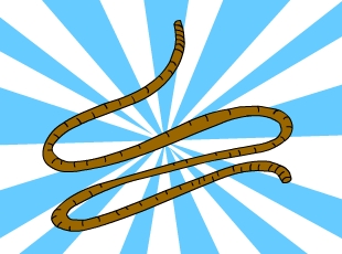 Ҷ-  
