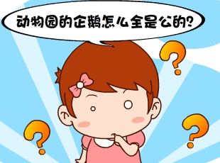 213-ȫǹ  