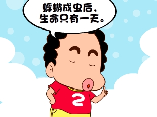 213-Ҹĳ  