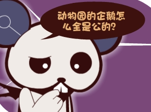 Ȳ-ȫǹ  